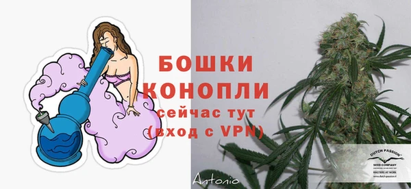 сатива Медногорск