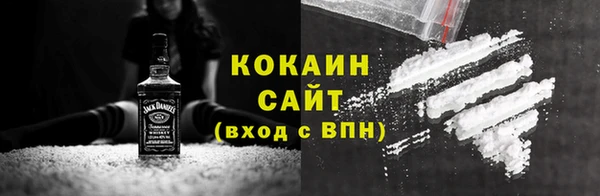 шишки Мегион