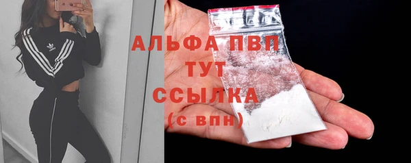 шишки Мегион