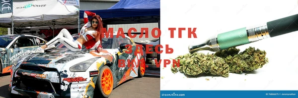 сатива Медногорск