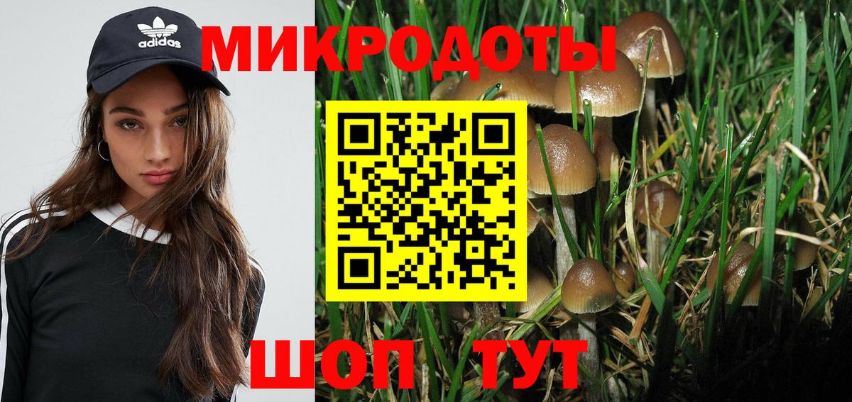 Псилоцибиновые грибы Psilocybe  Полевской 