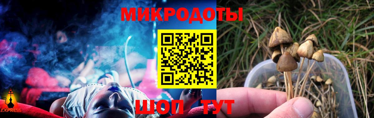 Полевской  Псилоцибиновые грибы ЛСД  Вход с VPN  Галлюциногенные грибы Magic Shrooms 