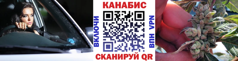 Канабис гибрид  Полевской 
